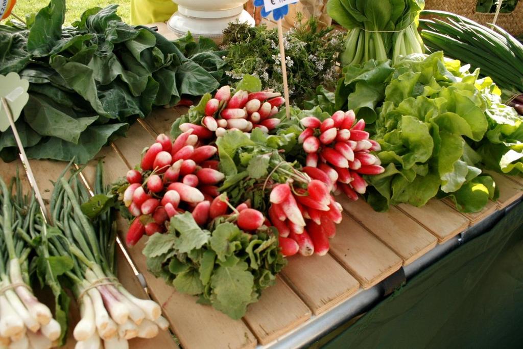 FEIRA RURAL "Porque algumas vezes pequenas