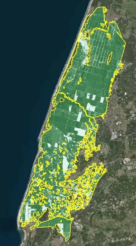 Pinhal de Leiria Grau de coberto florestal (2015) 100 0 Área (ha) Área (%) Sem cobertura florestal 270 15