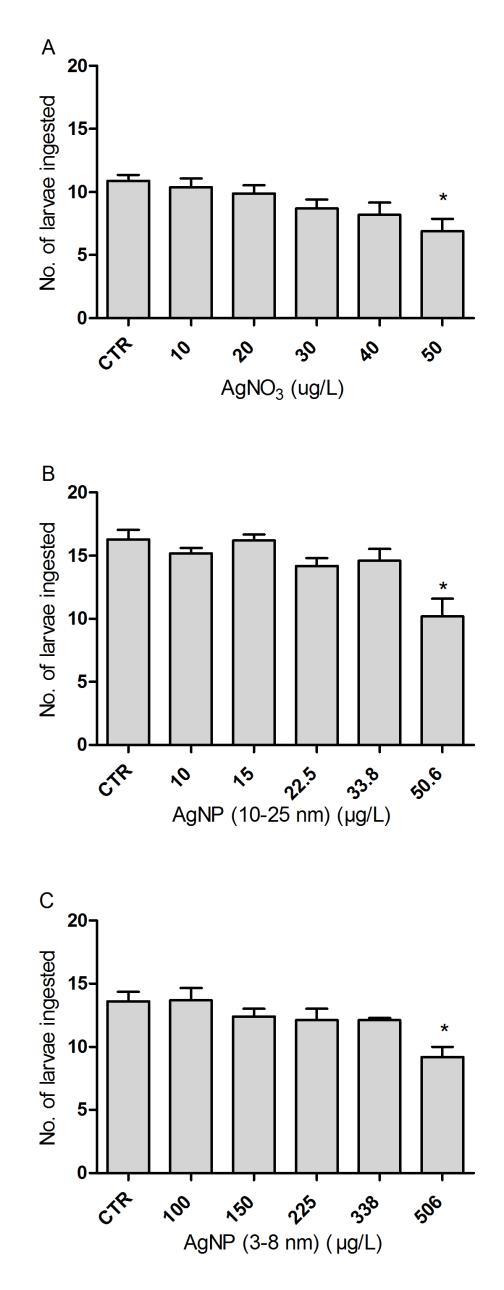 2.3.4. Feeding activity Feeding activity of planarians D. tigrina for AgNO 3, AgNP (10-25 nm) and AgNP (3-8 nm) is shown in figure 8 and table 1. Figure 8. Feeding activity of D.