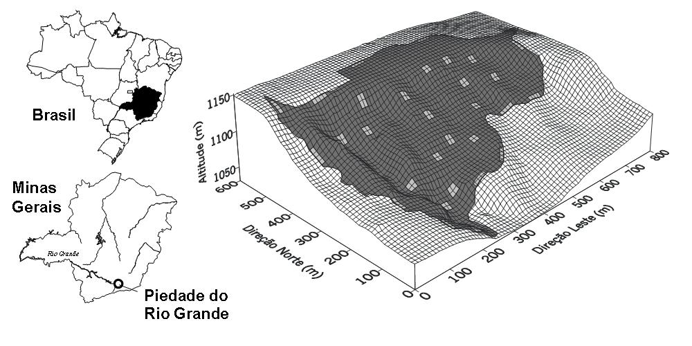316 W. A. C. Carvalho et al.: Estrutura de Floresta Semidecídua em Piedade do Rio Grande, MG esparsos recobrindo cerca de apenas 2% do território mineiro (CETEC 1983).