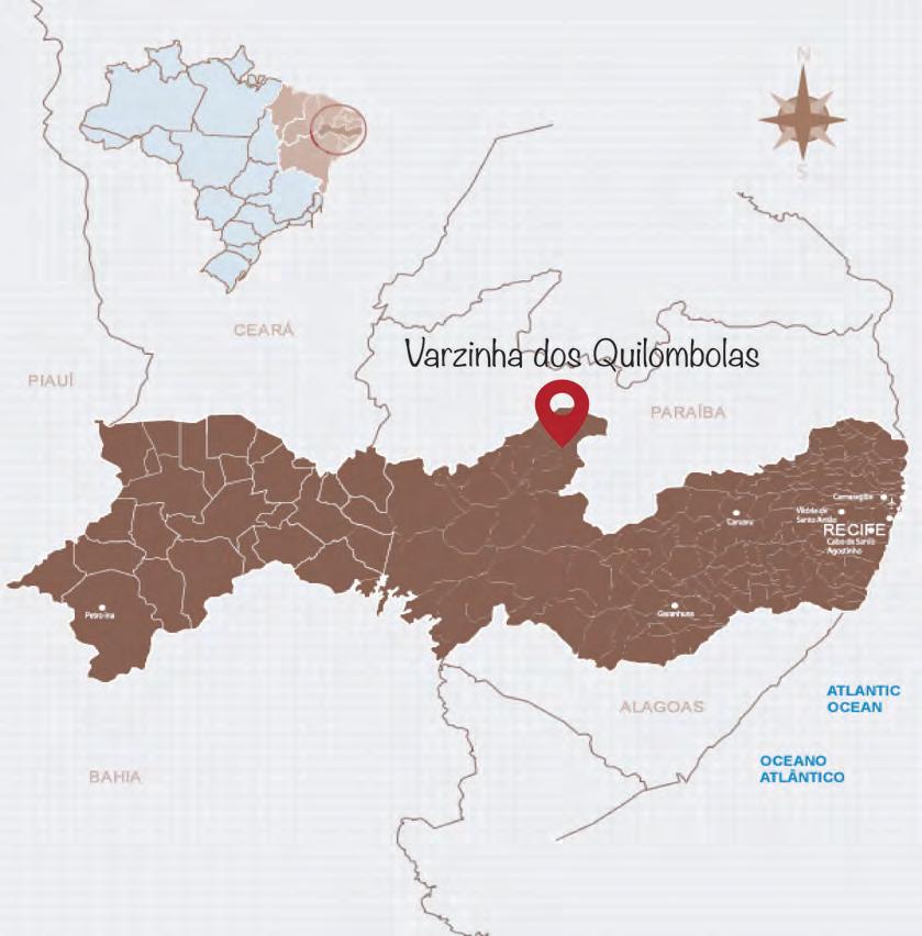 Introdução A história de Varzinha está relacionada com a luta e resistência dos quilombos da região do Agreste e Sertão de Pernambuco.