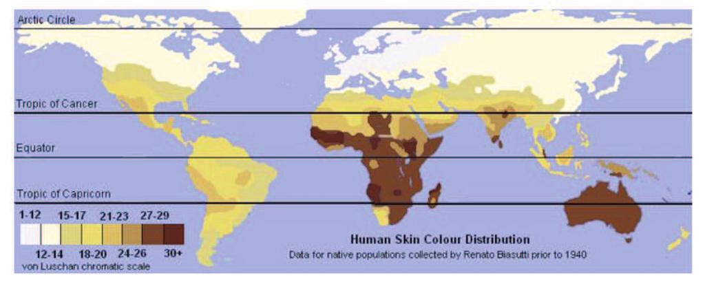 28 Micropigmentação - Da Arte à Ciência CAPÍTULO II Tipo e fototipo de pele Dois fatores determinam a cor da pele: a quantidade de pigmento produzido (mais feomelanina ou mais eumelanina) e as