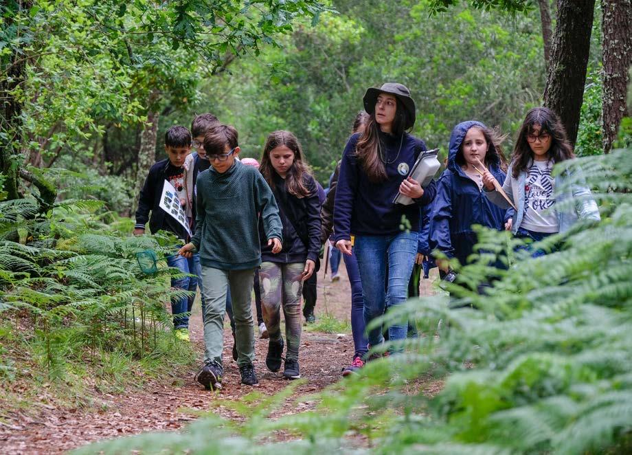 floresta sustentabilidade Vamos descobrir a floresta!