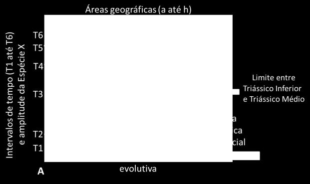 A Espécie X é uma espécie de Synapsida terrestre com registro em rochas do Triássico Inferior e Médio do Brasil, do Triássico Inferior da África do Sul e do Triássico Médio da Argentina.