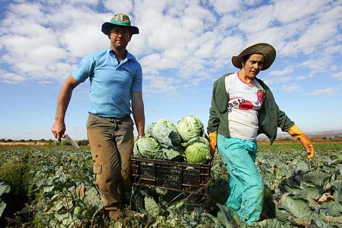 AGROECOLOGIA não é um sistema produtivo Campo de