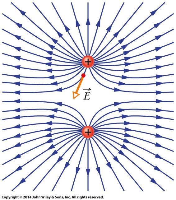 22-1 O Campo Elétrico Linhas de Campo Elétrico Linhas de campo elétrico se projetam a partir de cargas positivas (onde se originam) e em direção às cargas negativas (onde terminam) (1) O vetor campo