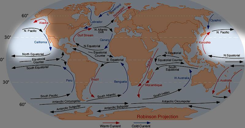 O CLIMA E AS PAISAGENS VEGETAIS (p. 223-226) Correntes Marítimas Fluxos constantes de água dos oceanos causados pelo movimento de rotação da Terra.
