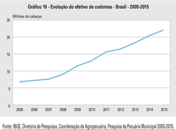 internacionais: meio ambiente bem estar