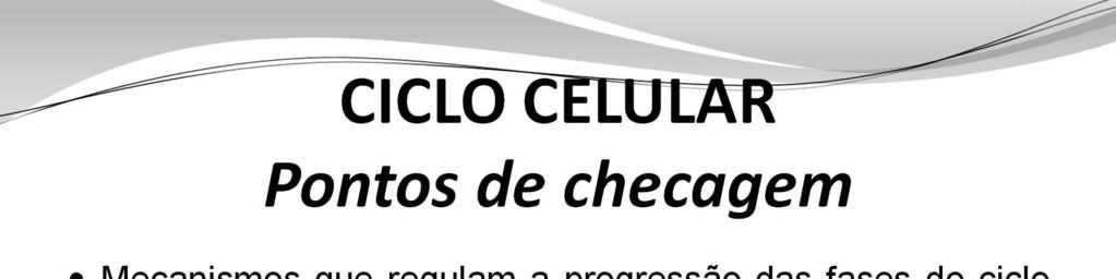 As maiores áreas de controle do ciclo celular incluem a transição G1-S, onde ocorre a maior parte dos defeitos