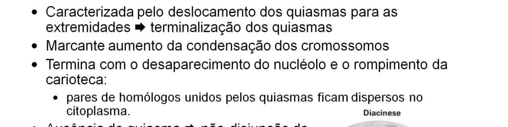 Durante a diacinese os quiasmas são mantidos, o que