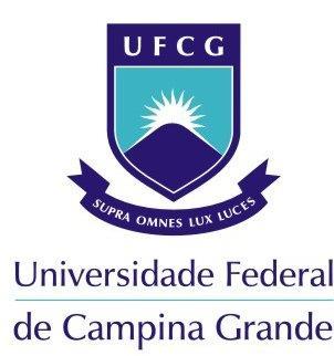 Universidade Federal de Campina Grande Centro de Ciências e Tecnologia Coordenação de Pós-Graduação em Engenharia Química ÍCARO CAZÉ