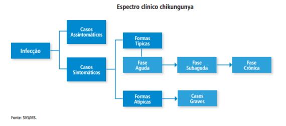 Febre CHK: