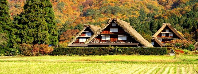 As casas típicas em estilo Gasshozukuri possuem telhados inclinados para que a neve não acumule e têm até 4