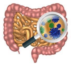 Probióticos no Controle Glicêmico Auxílio para Pacientes com Diabetes Mellitus Tipo II O diabetes mellitus tipo II (DM2) é frequentemente associado com inflamação sistêmica e aumento do estresse