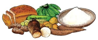 mexoeira Tubérculos: batata, batata doce, mandioca Frequência A cada refeição Alimentos de crescimento Leguminosas: