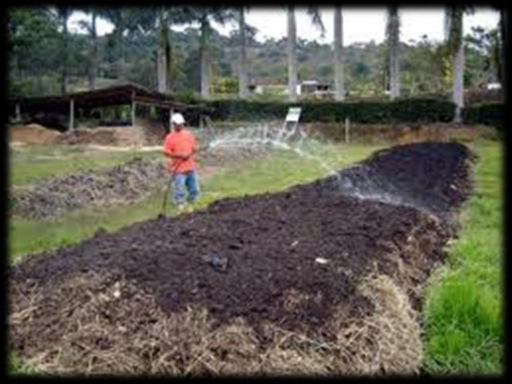 Compostagem É um processo no qual a matéria orgânica putrescível é