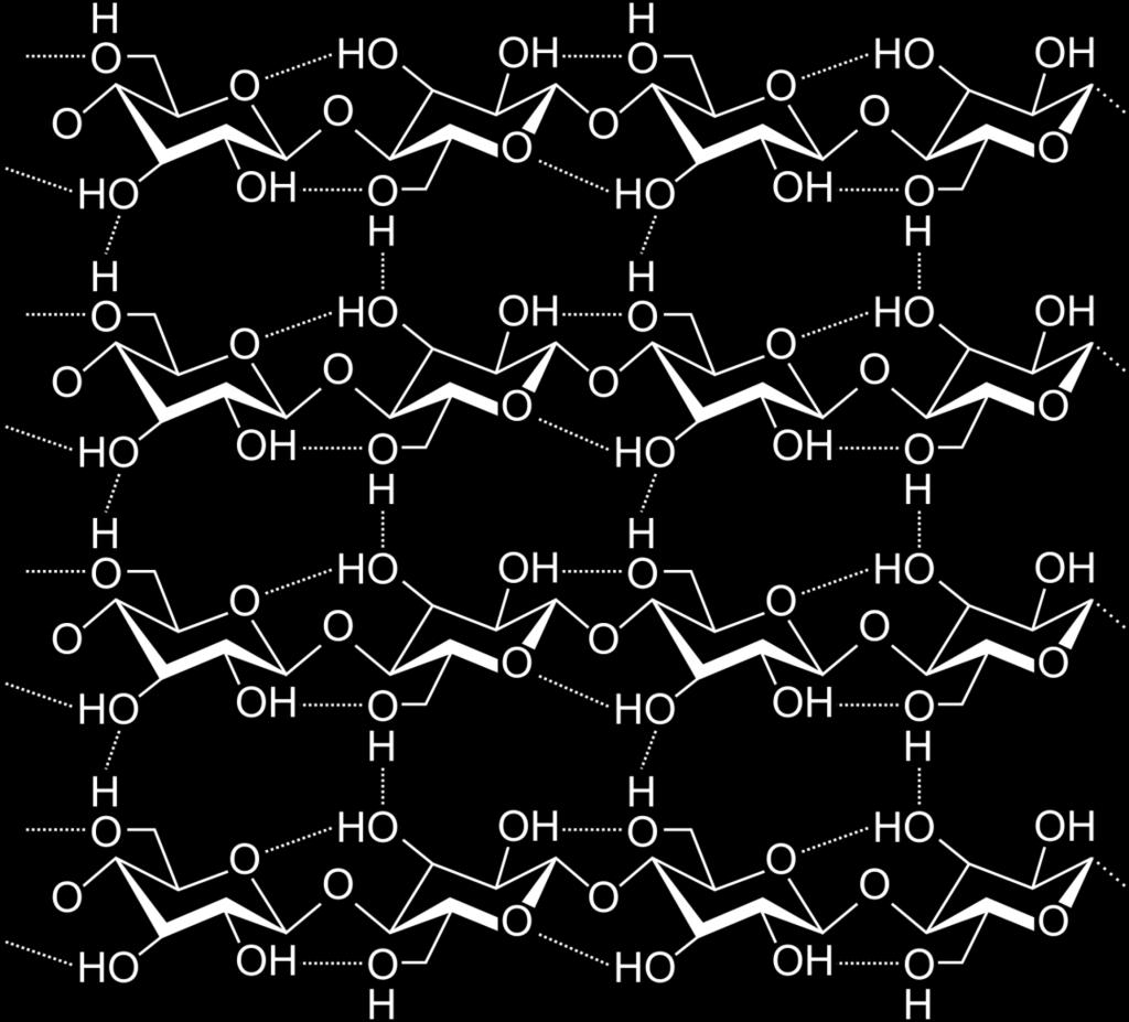 celulose B I O P R O D U C T S B I O F U EL S