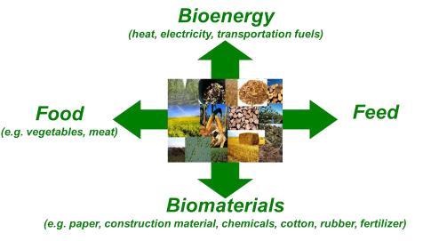 químicos com valor agregado *NREL National Renewable Laboratory - USA A biorrefinaria é o