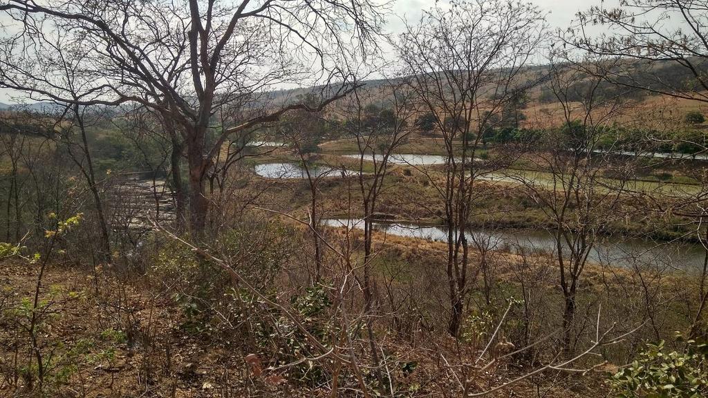 Visão parcial das Lagoas, abastecidas pela agua desviada; mais acima,