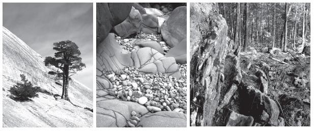2) Observe a sequência de imagens a seguir. Esta sequência representa: (A) A formação do solo a partir de uma rocha. (B) As condições climáticas de uma região.