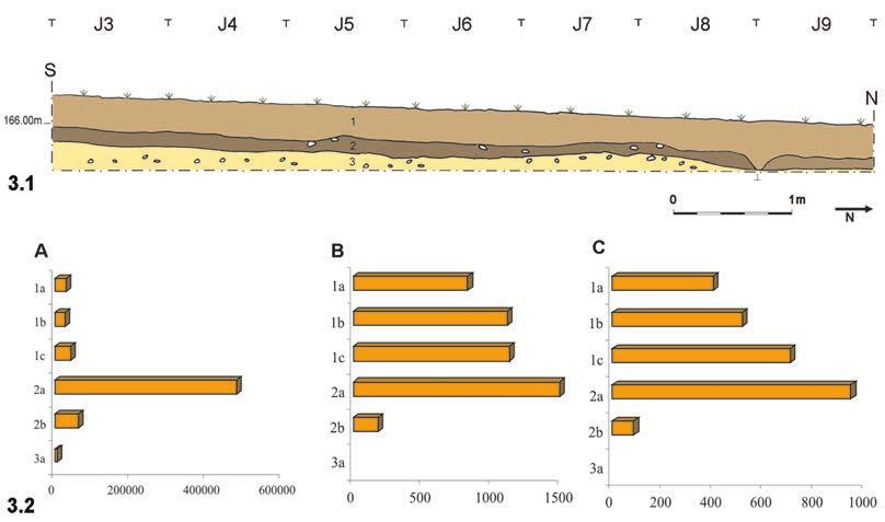 Para o estudo do Neolítico Médio: o sítio da Fábrica de Celulose (Mourão) Fig. 3 Fábrica de Celulose (Mourão), 2000. 3.1 - Perfil oeste da Sondagem B; 3.