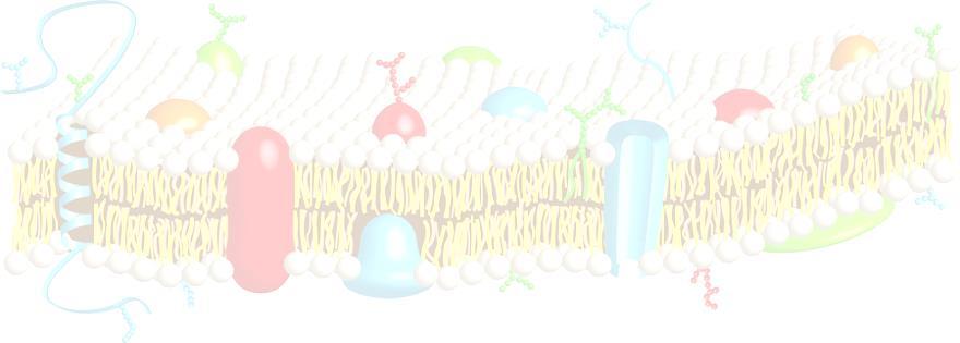 Membranas biológicas Membrana celular Estrutura, organização e função Exemplos da