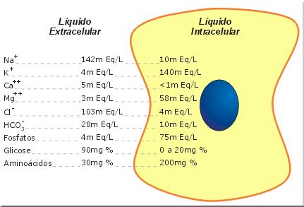 Compartimentos biológicos