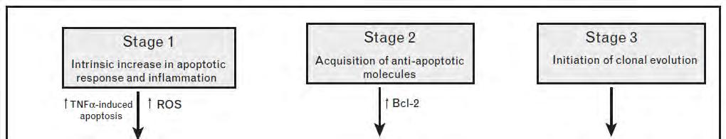 Modelo molecular