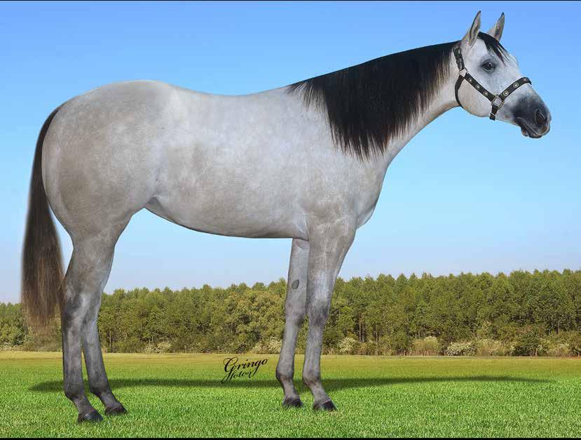 20 BARBIE WOODS QR F - 22/09/16 - T - Vendedor: SAMER REIS EL SHADY ZORRERO x BARBIE WOOD (JOHNNIE WALKER WOOD) UMA EL SHADY FECHADA EM TRABALHO!