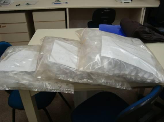 As cartelas retiradas foram levadas ao laboratório, individualizadas em saquinhos plásticos (Figura 15A), devidamente identificados e acondicionados