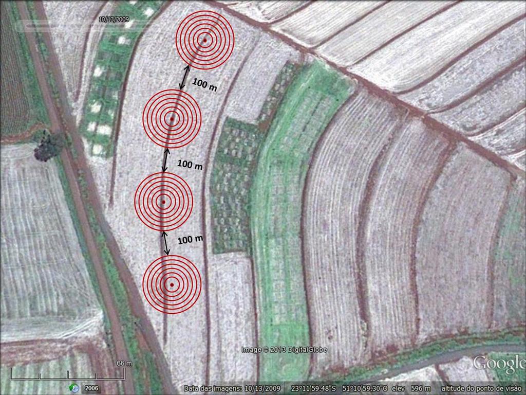 Figura 16. Área experimental da Embrapa soja onde foi realizado o experimento. Os círculos representam ilustrativamente como foram conduzidos em campo.