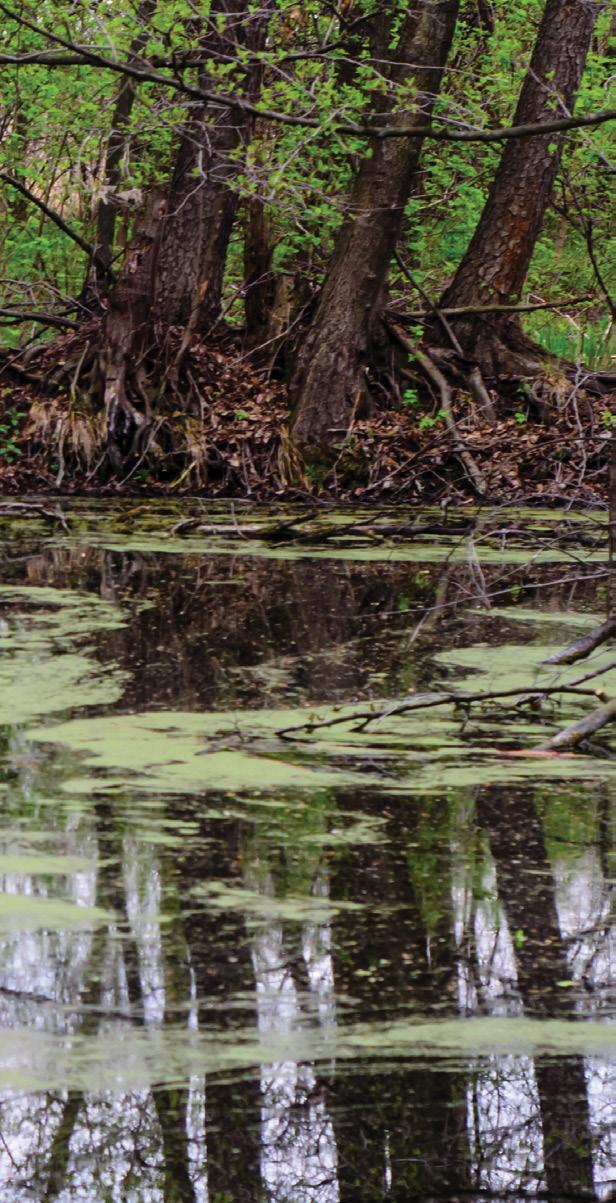 As mudanças climáticas alteraram fundamentalmente o ciclo da água através de mudanças diretas no tempo, duração e magnitude dos eventos de chuva, aumento das temperaturas e aumento do nível do mar.