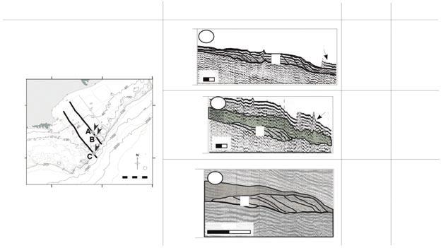 Estratigrafia rasa da plataforma da Bacia de Campos recentemente identificados em trabalhos na área, baseados em imageamento sísmico com fonte do tipo boomer de maior resolução (Bernardo 212, Passos