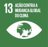 Apresentando os 17 Objetivos Objetivo 13: Ação Contra a Mudança Global do Clima Tomar