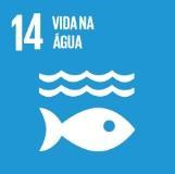 Objetivo 14: Vida na Água Conservar e promover o uso sustentável dos oceanos, dos mares