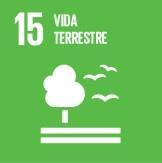 Objetivo 15: Vida Terrestre Proteger, recuperar e promover o uso sustentável dos