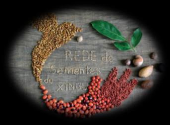 Redes de sementes florestais 3,350 sementes/ kg 60 kg/ha of sementess 710 sementes/ kg Legislação de sementes florestais Semeadura direta