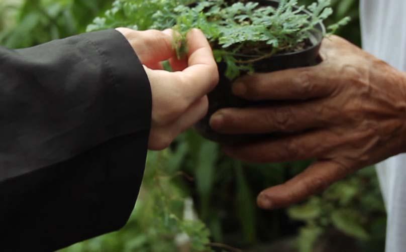 Mãos que cultivam alimentos e vínculos comunitários.