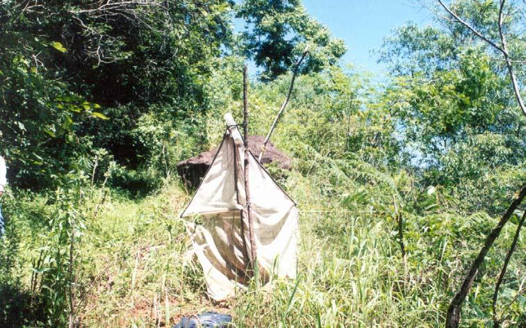 Material e Métodos 47 formação de pastagens ou lavoura e abandonada depois de alguns anos de uso.