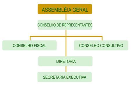 Estrutura Organizacional Principais
