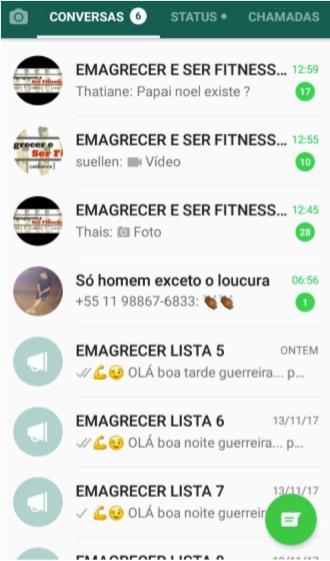 Primeiro Passo: O primeiro passo para iniciar uma estrutura de vendas no WhatsApp é como te falei, criar sua primeira lista de transmissão e seu primeiro grupo (dá uma olhada nesse exemplo da