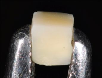 2000 e polidas com pasta diamantada com tamanho de partículas de 0,03 e 0,05 µm, em uma máquina politriz Aropol S (Arotec, Cotia, SP, Brasil) em 300 rpm.