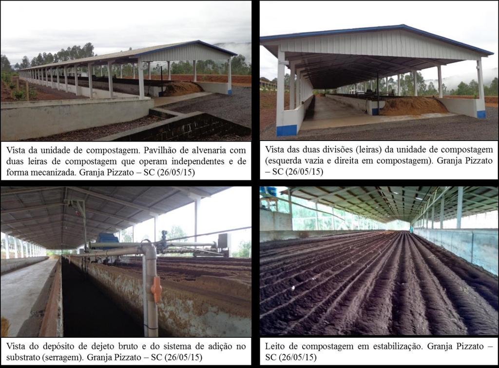 Figura 1. Alguns dos processos pertinentes à implantação da compostagem de dejetos em granjas de suínos. Fonte: Os autores.