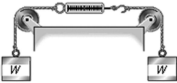16. Dois objetos, cada um com peso W, estão pendurados conforme mostrado na figura. As polias e cordas têm massa desprezível, e não há atrito na polia. A leitura no dinamômetro será de: (A) W.