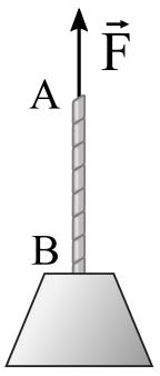 Um bloco de 46,0 kg de massa está pendurado na extremidade de uma corda uniforme de 10,0 m de comprimento e com massa igual a 4,00 kg.