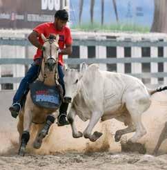 pontuados pela ABQM, na Vaquejada é produtor de JOY DUN IT, RM VAQUEJADA 6 LUGAR E 10 LUGAR CONGRESSO BRASILEIRO DE VAQUEJADA ABQM 2019 ABERTA LIGHT, 7 LUGAR no Campeonato Nacional ABQM Vaquejada