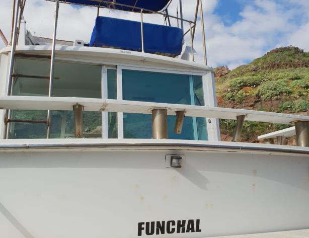 Funchal Porto Novo, Tecnovia