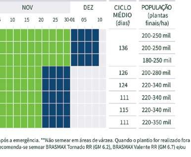 Excelente pacote sanitário Amplo período de plantio Alto potencial de