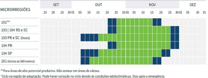 GRUPO DE MATURAÇÃO 5.