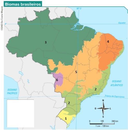 QUESTÃO 19 Um poste de luz mede 8 metros. Sabendo que 1 polegada equivale a 2,54 centímetros, a medida desse poste, em polegadas, é aproximadamente (A) 195. (B) 203. (C) 247. (D) 300. (E) 315.